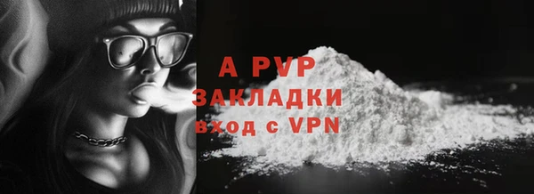 спиды Новодвинск
