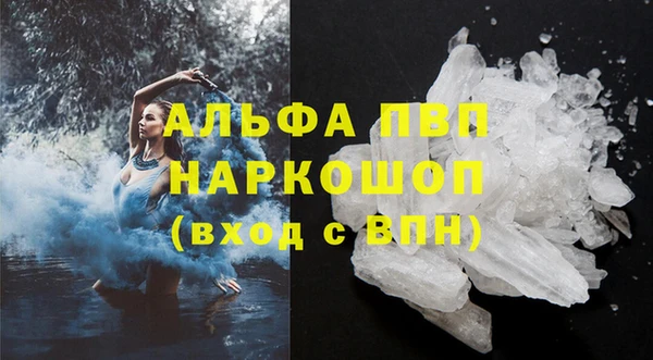 спиды Новодвинск