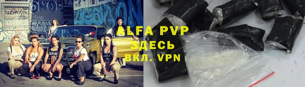 эйфоретик Новозыбков