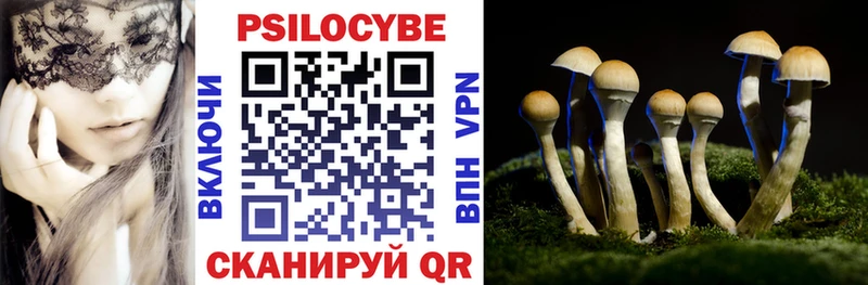 где продают   Татарск  Псилоцибиновые грибы MAGIC MUSHROOMS 
